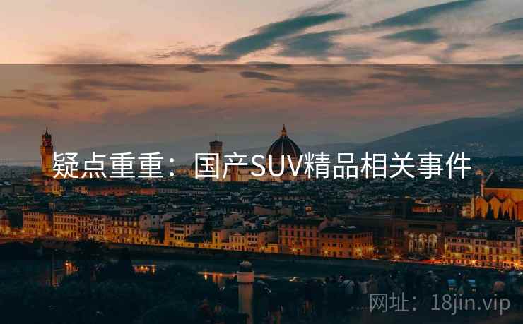 疑点重重：国产SUV精品相关事件