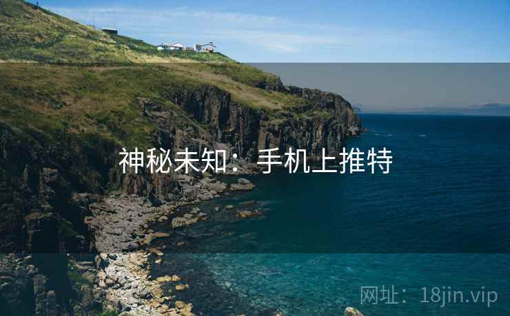 神秘未知：手机上推特