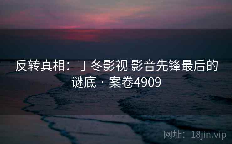 反转真相：丁冬影视 影音先锋最后的谜底 · 案卷4909