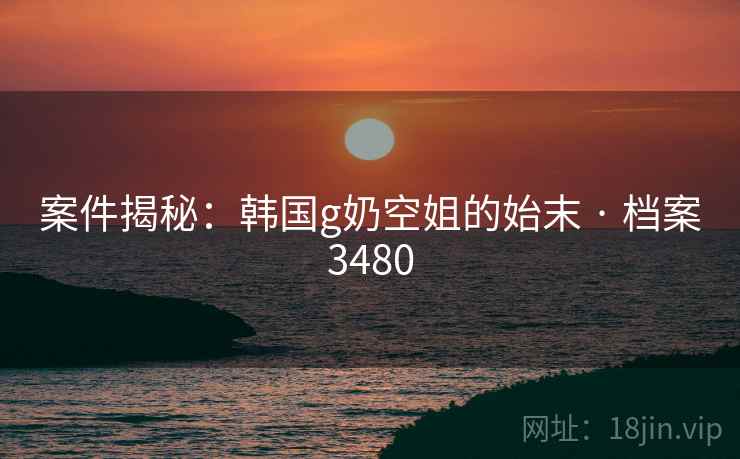 案件揭秘：韩国g奶空姐的始末 · 档案3480