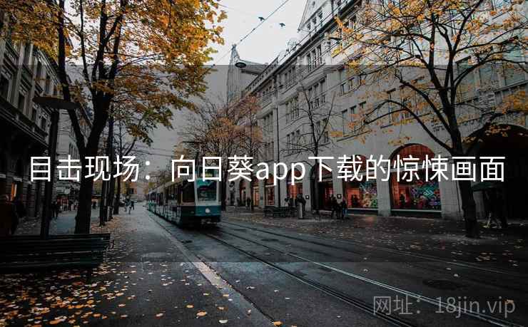 目击现场：向日葵app下载的惊悚画面