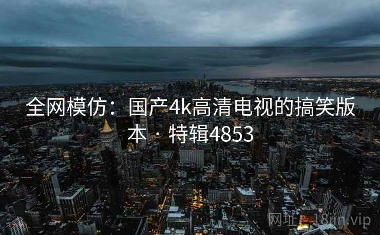 全网模仿：国产4k高清电视的搞笑版本 · 特辑4853