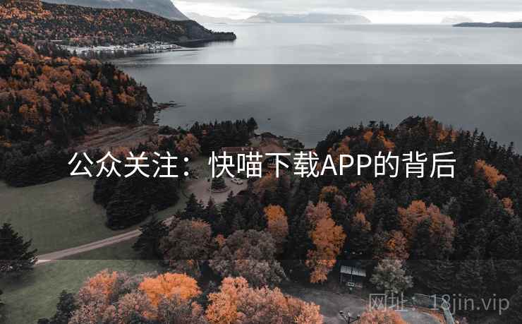 公众关注:快喵下载APP的背后 公众关注:快喵下载APP的背后