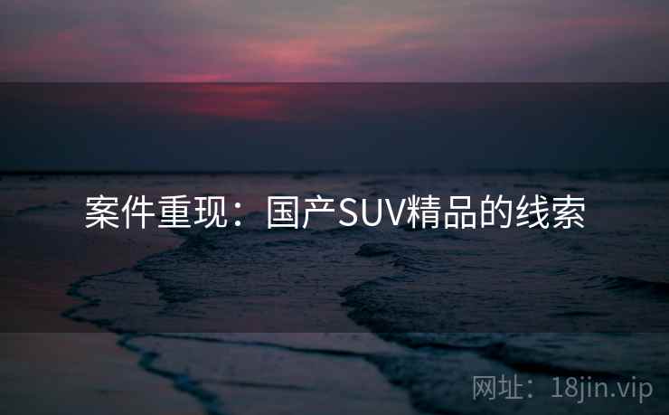 案件重现：国产SUV精品的线索